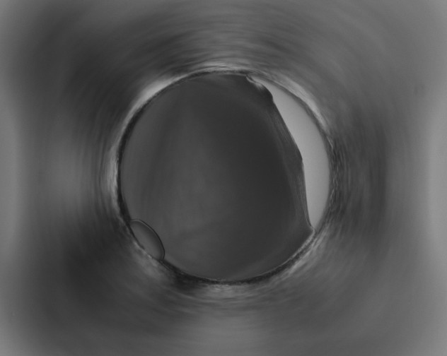 X0000087331179200705112151