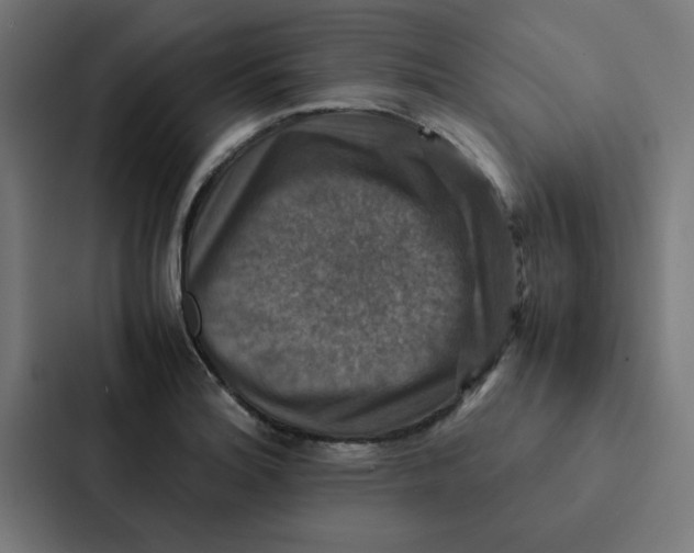 X0000087331180200705112151