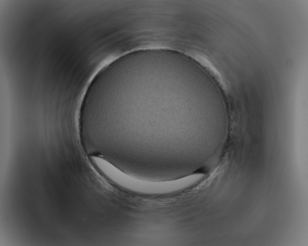 X0000087331181200705112151