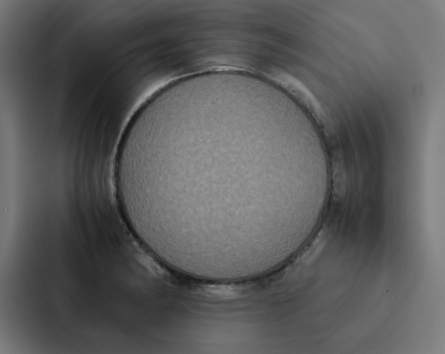 X0000087331182200705112151