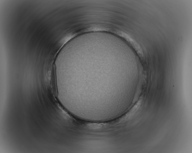 X0000087331185200705112151