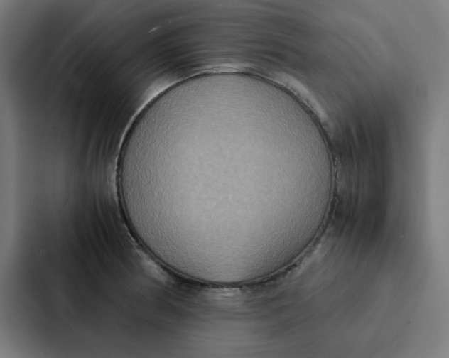 X0000087331186200705112151
