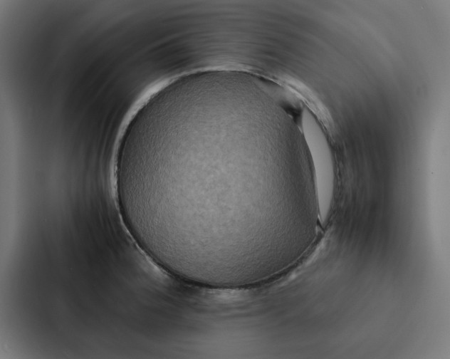 X0000087331188200705112151