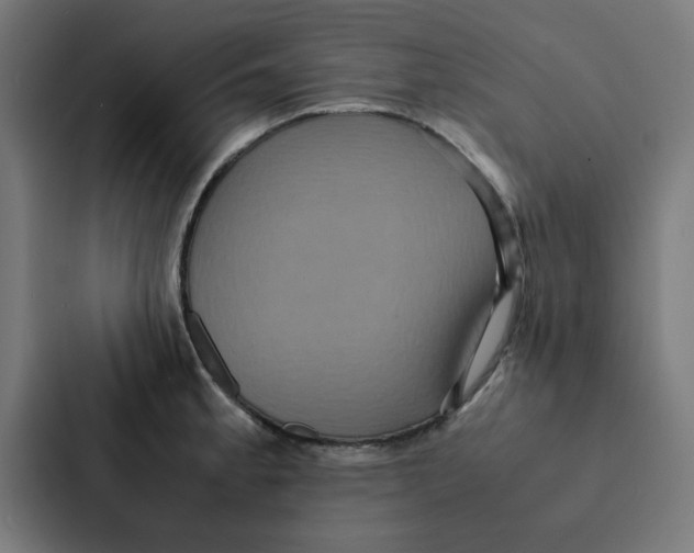X0000087331189200705112151