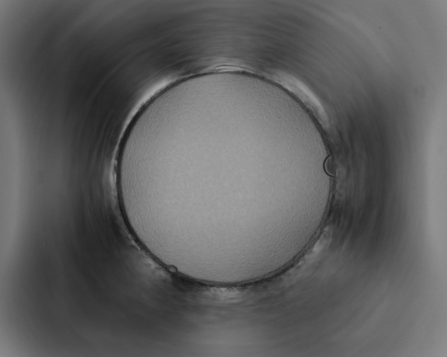 X0000087331190200705112151