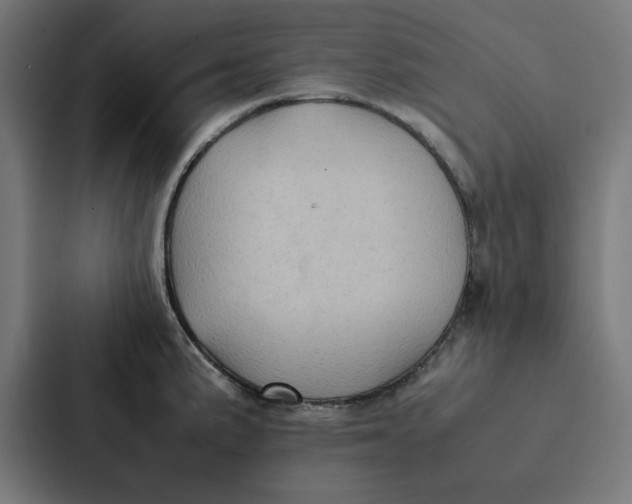 X0000087331191200705112151