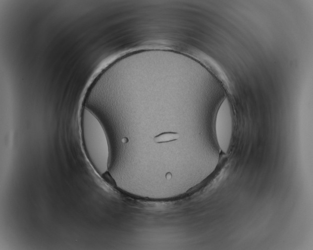 X0000087331192200705112151