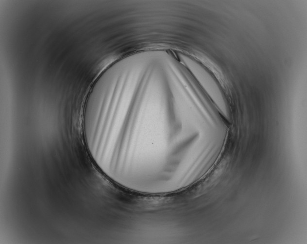 X0000087331193200705112151