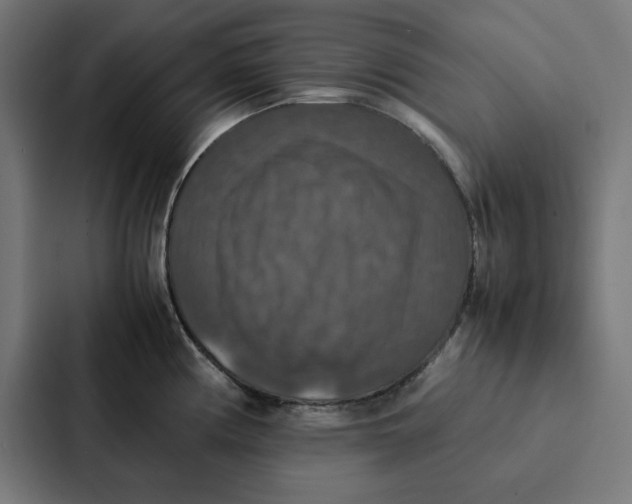 X0000087331194200705112151