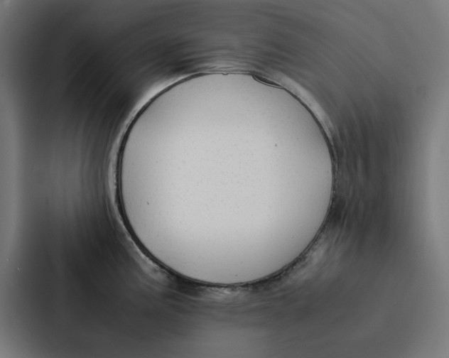 X0000087331195200705112150