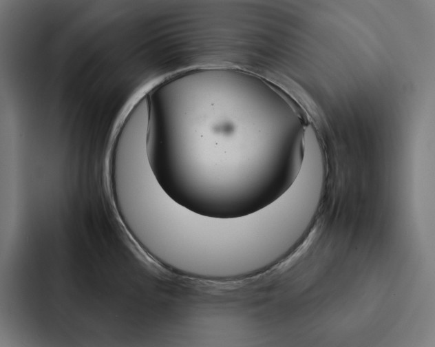 X0000087331196200705112150
