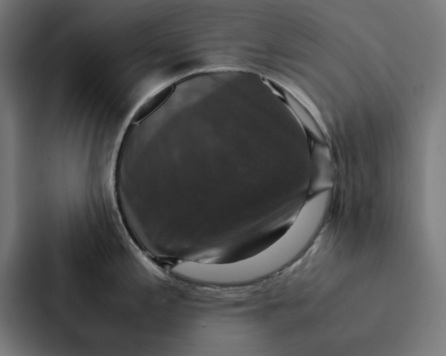 X0000087331197200705112150
