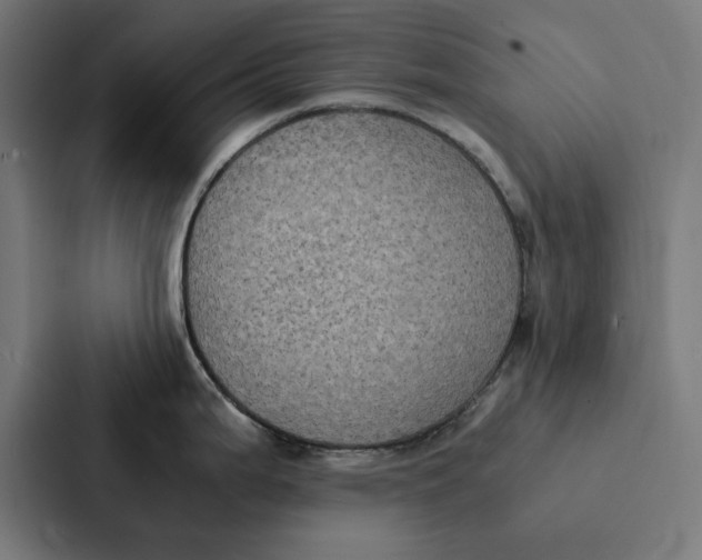 X0000087331199200705112150