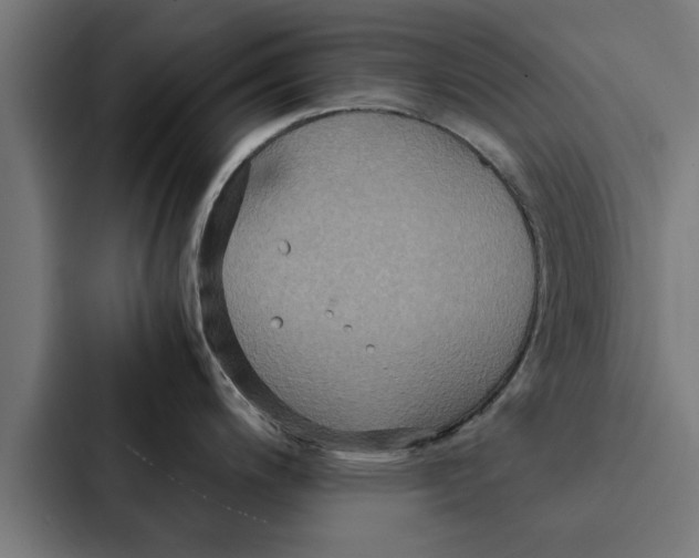 X0000087331200200705112150