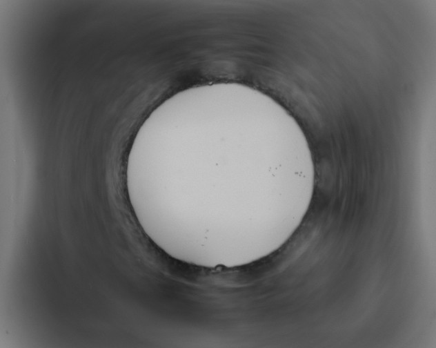 X0000087331201200705112150