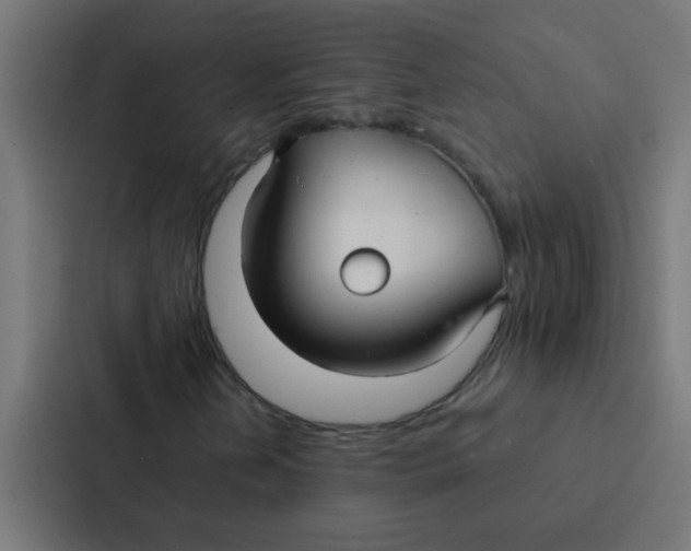 X0000087331202200705112150