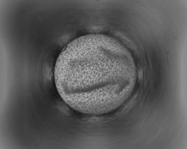 X0000087331204200705112150
