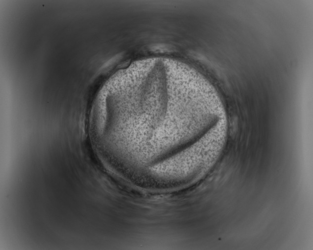 X0000087331205200705112150