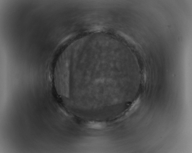 X0000087331206200705112150