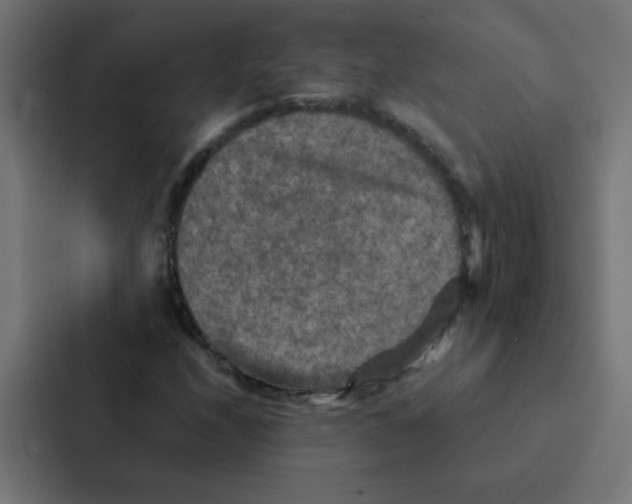 X0000087331208200705112150