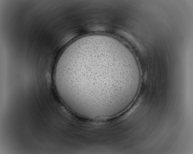 X0000087331209200705112150