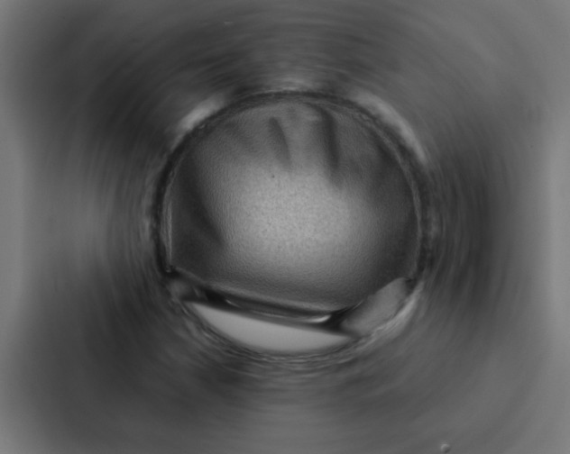 X0000087331210200705112150