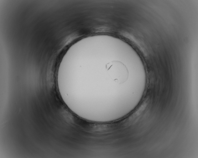 X0000087331211200705112150