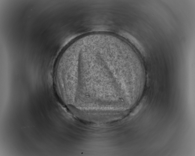 X0000087331212200705112150