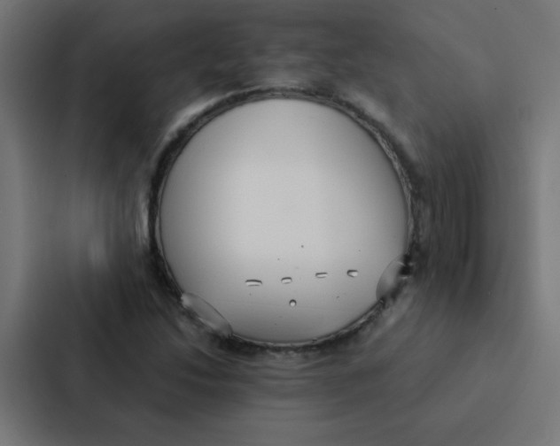 X0000087331214200705112150