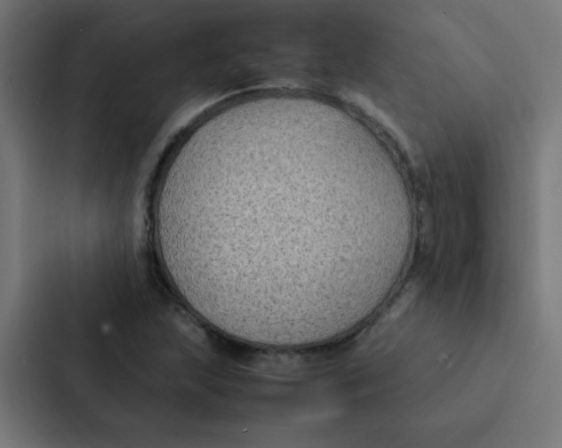 X0000087331215200705112150