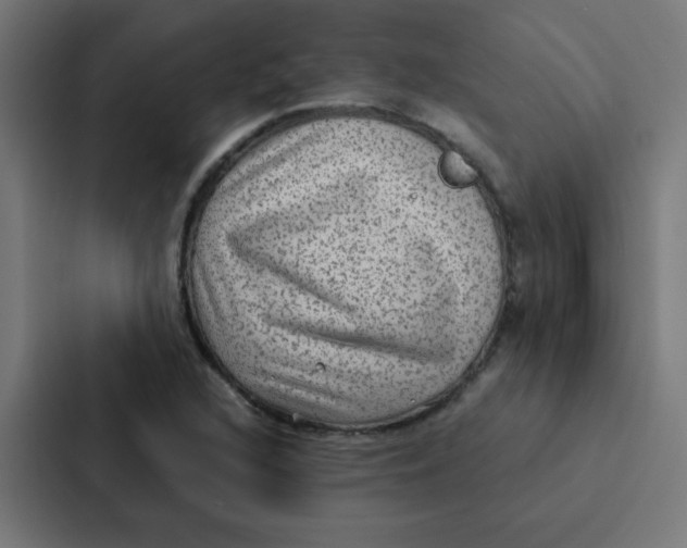 X0000087331216200705112150