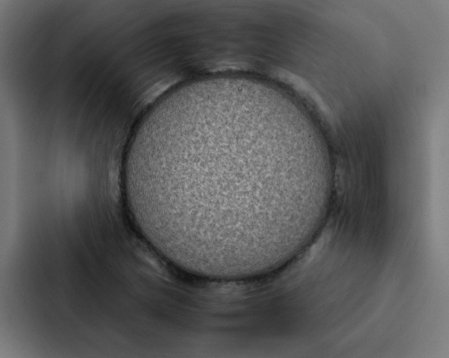 X0000087331217200705112150