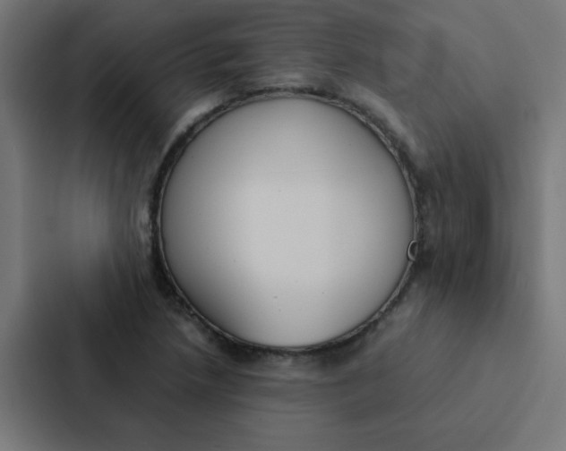 X0000087331218200705112150