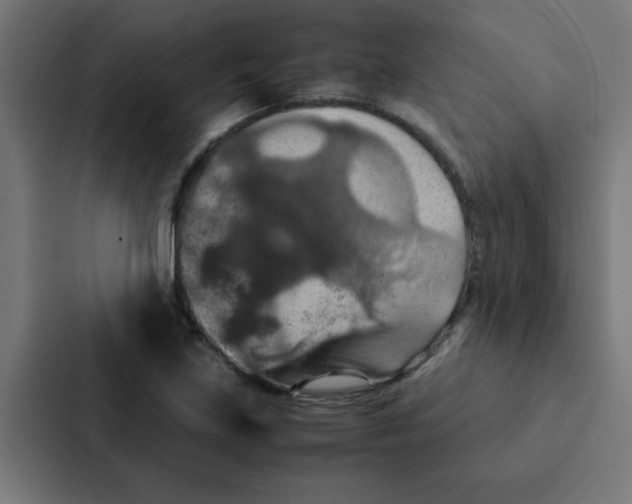 X0000087331219200705112150