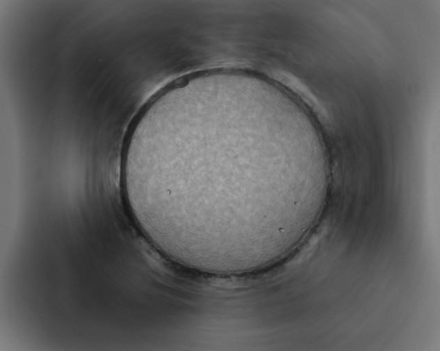 X0000087331220200705112150
