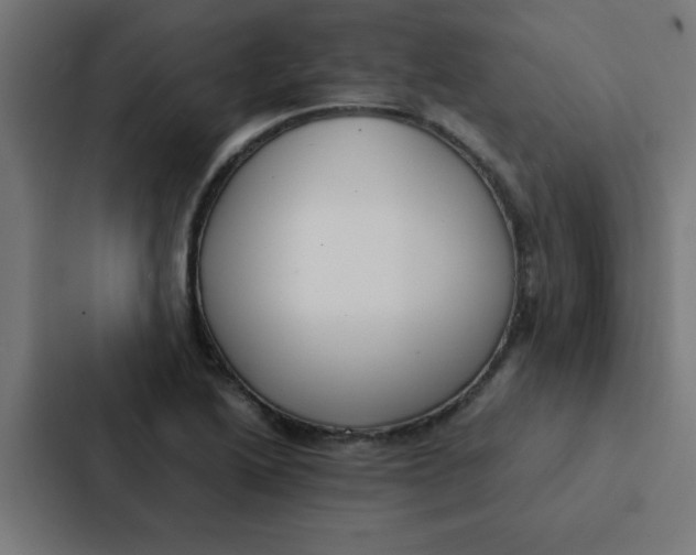 X0000087331222200705112150