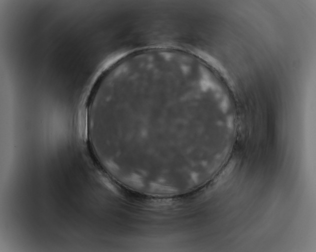 X0000087331223200705112150