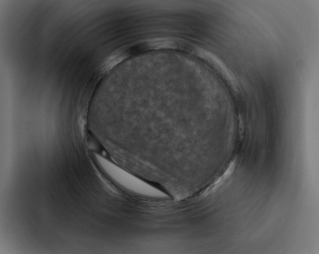 X0000087331225200705112150