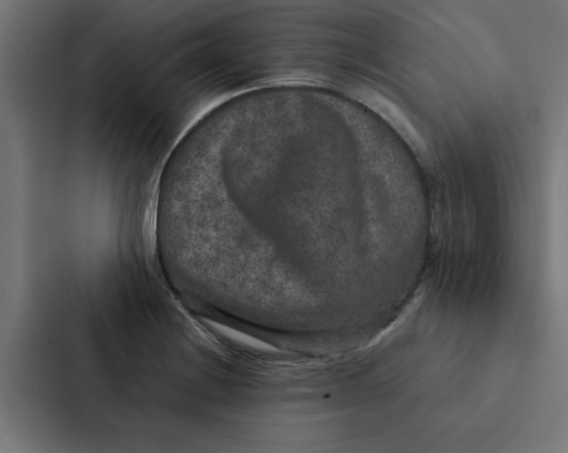 X0000087331228200705112150