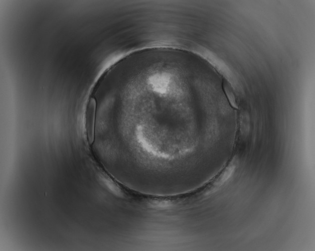 X0000087331230200705112150