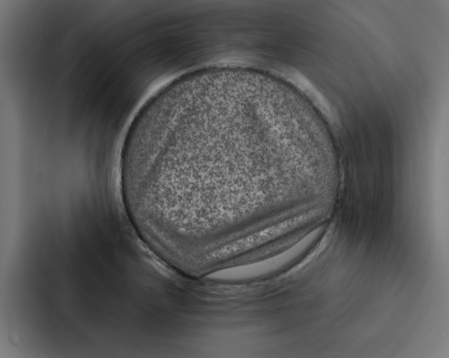 X0000087331232200705112150