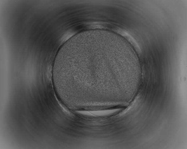 X0000087331233200705112150
