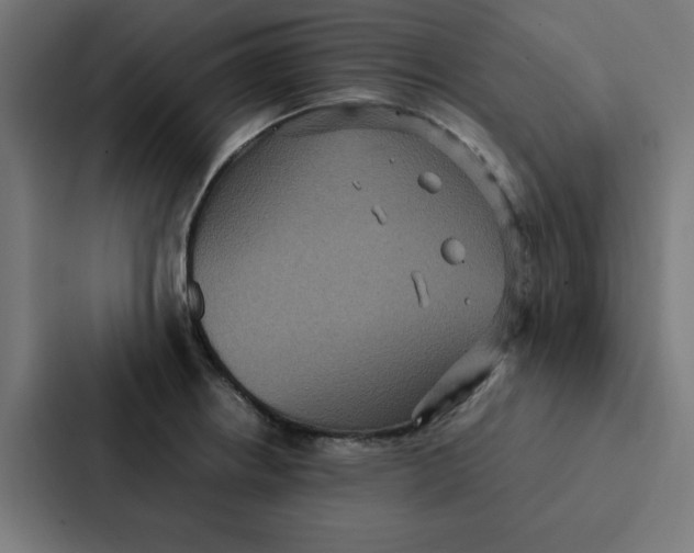 X0000087331234200705112150