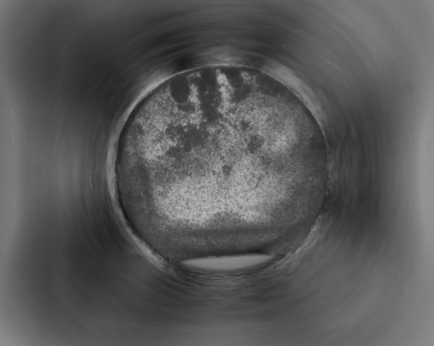 X0000087331235200705112150