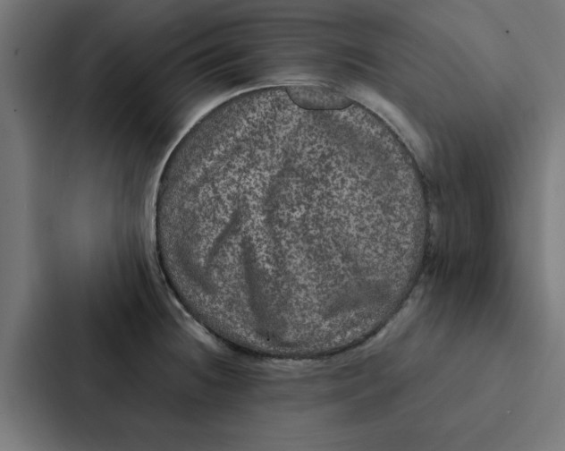 X0000087331236200705112150