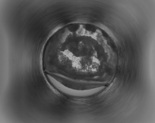 X0000087331237200705112150
