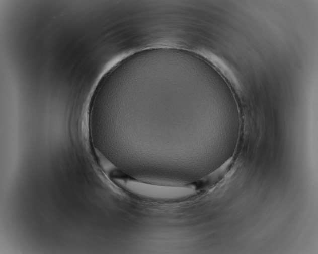 X0000087331238200705112150