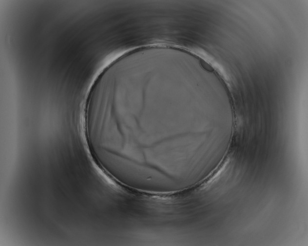 X0000087331239200705112150