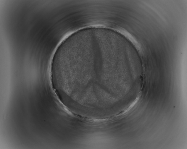 X0000087331240200705112150