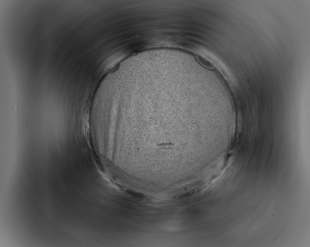 X0000087331241200705112150